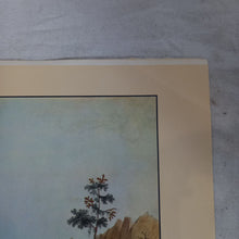 Charger l&#39;image dans la galerie, GRAVURE imprimée de la mer de Glace depuis le Sommet de Montavert en 1781

